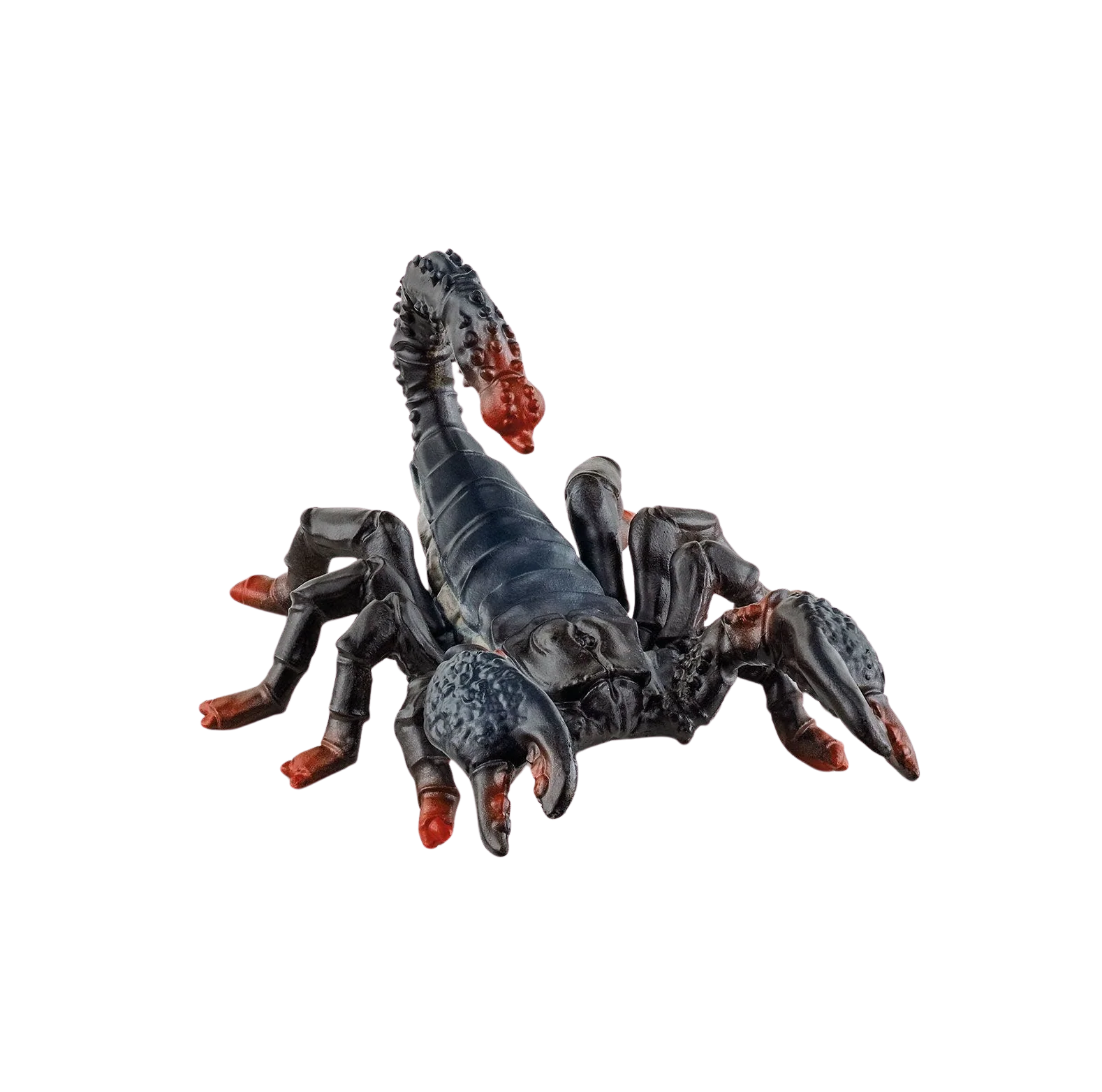 Miniatura 1
