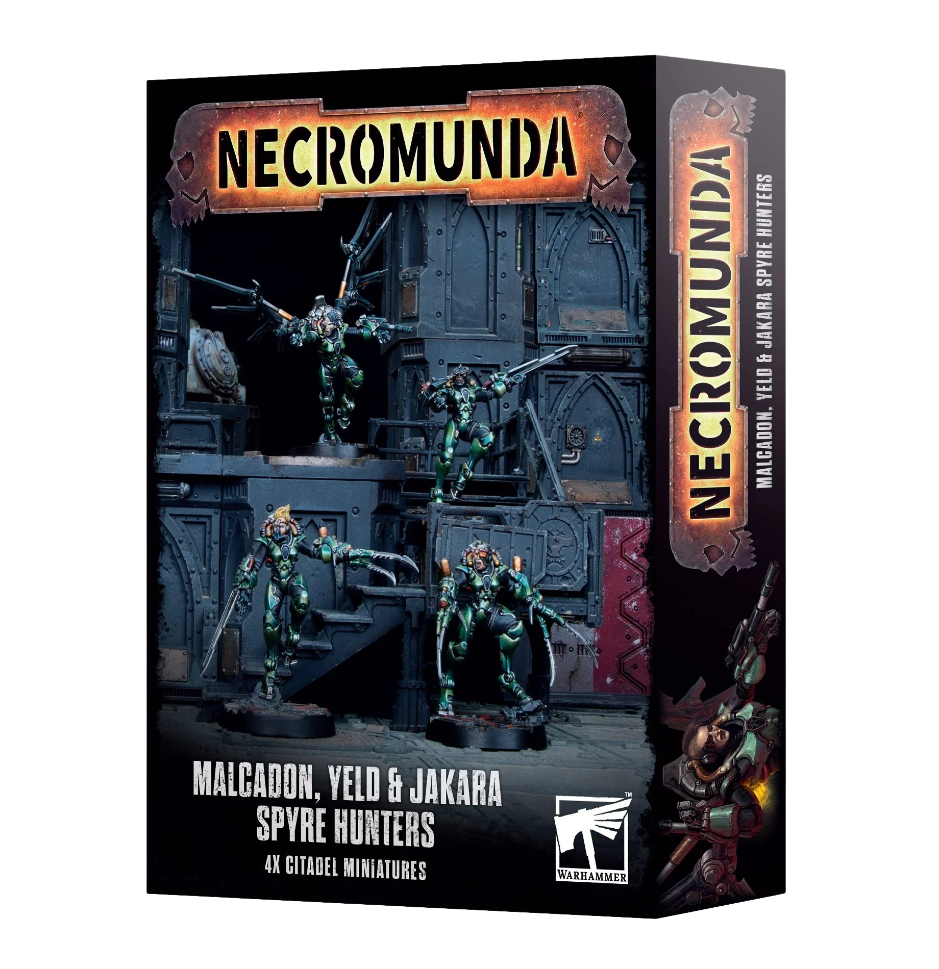 Miniatura 1